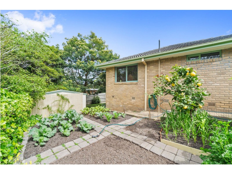 31 Scoble Street, Frankston South VIC 3199