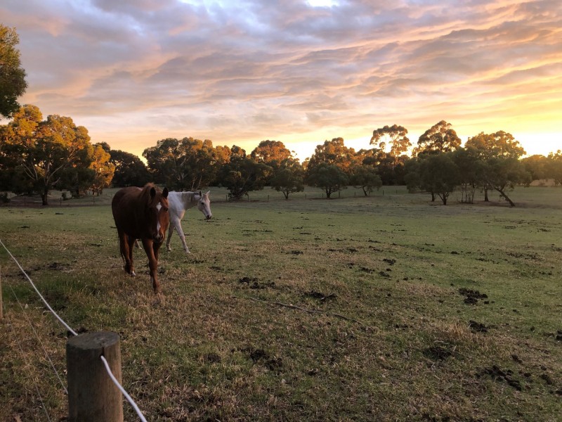 13 Bungower Road, Somerville VIC 3912