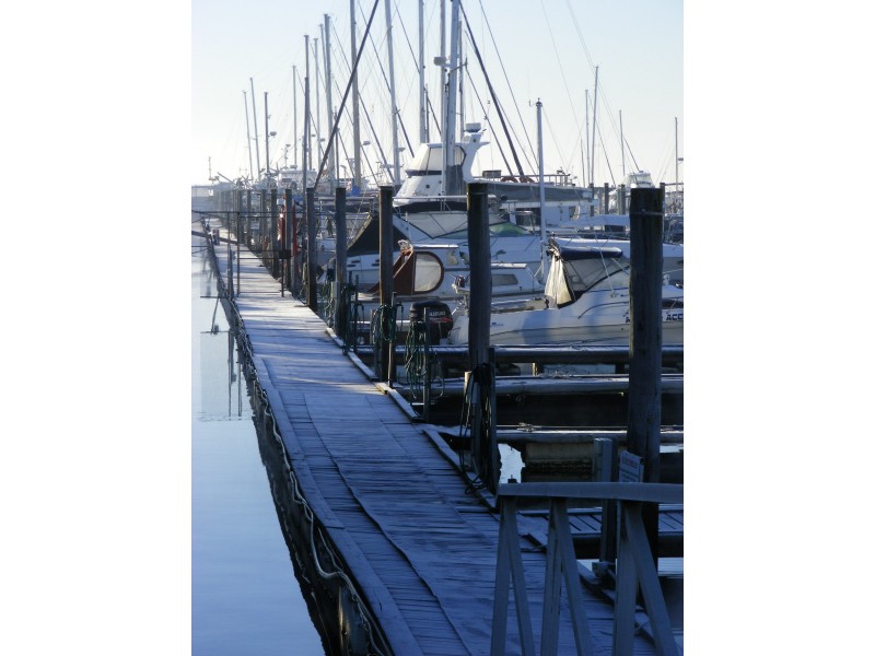 13 Bungower Road, Somerville VIC 3912