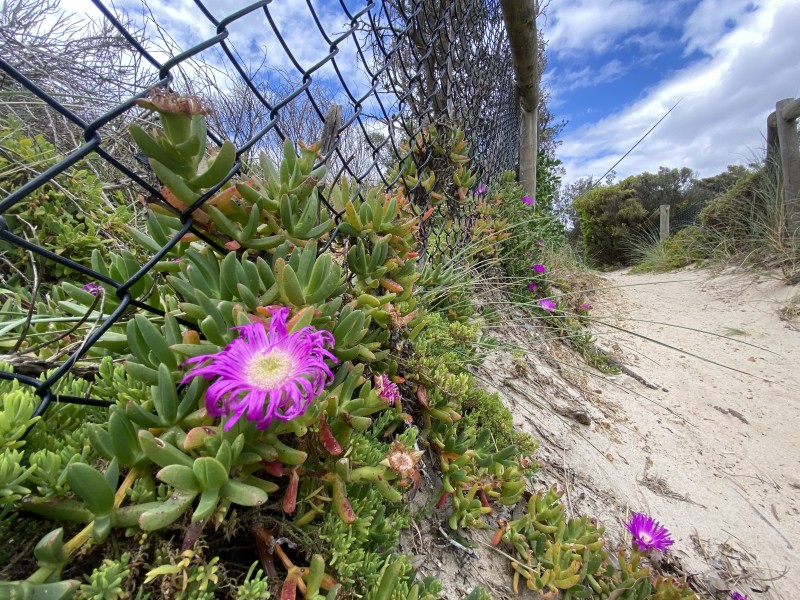 13/200 Nepean Highway, Seaford VIC 3198