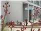 2 Autumn Crescent, Carrum Downs VIC 3201