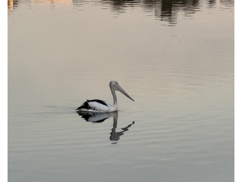 34 Boatshed, Frankston VIC 3199