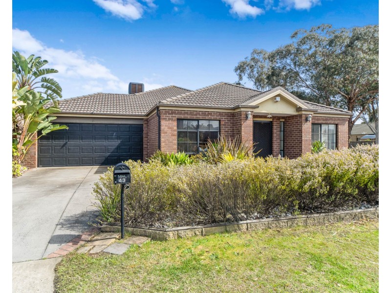 43 Balinga Drive, Skye VIC 3977