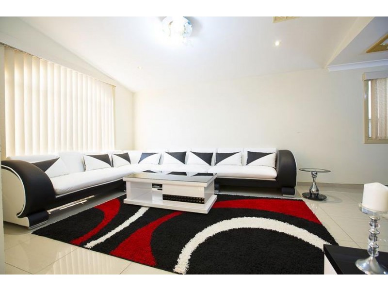 99 Mcfarlane Drive, Minchinbury NSW 2770