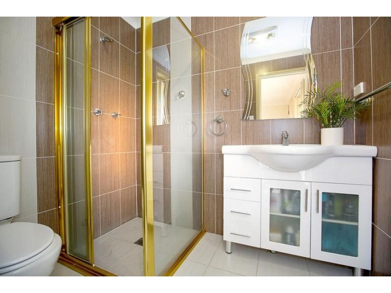 99 Mcfarlane Drive, Minchinbury NSW 2770