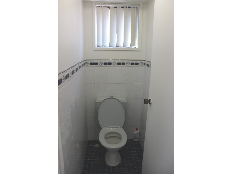 65 Buring Crescent, Minchinbury NSW 2770