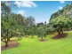 69 Estelle Road, Currumbin Valley QLD 4223