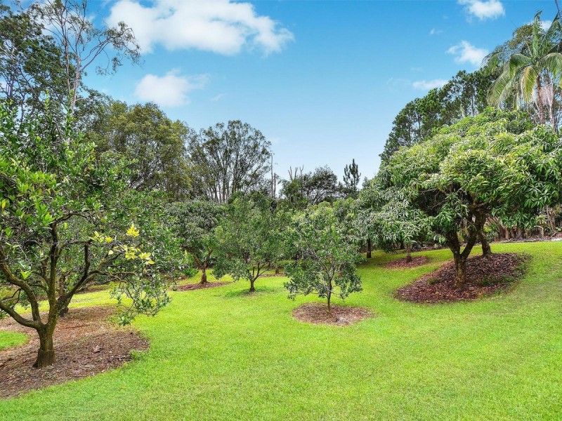 69 Estelle Road, Currumbin Valley QLD 4223