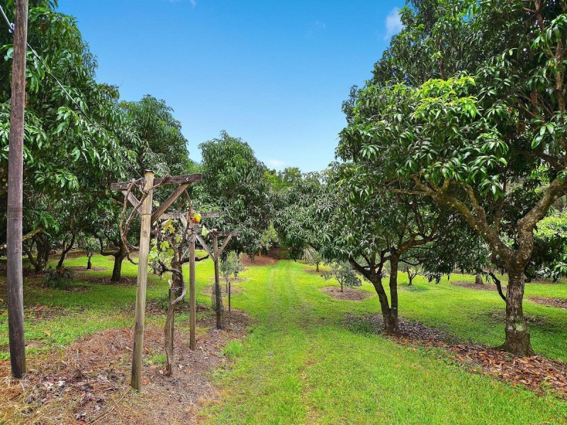 69 Estelle Road, Currumbin Valley QLD 4223