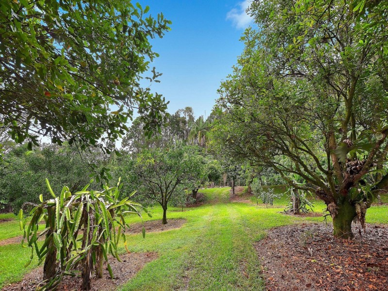 69 Estelle Road, Currumbin Valley QLD 4223