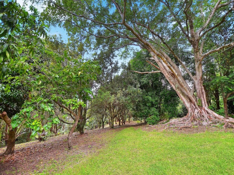 69 Estelle Road, Currumbin Valley QLD 4223