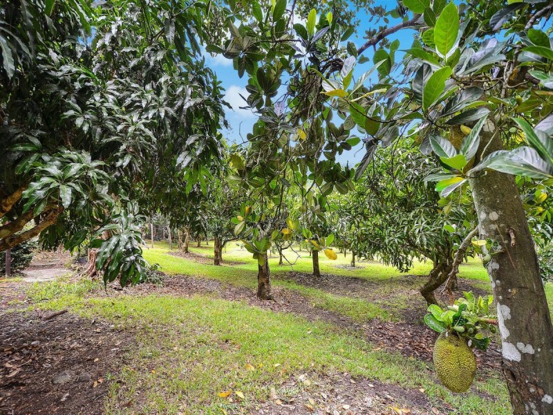 69 Estelle Road, Currumbin Valley QLD 4223