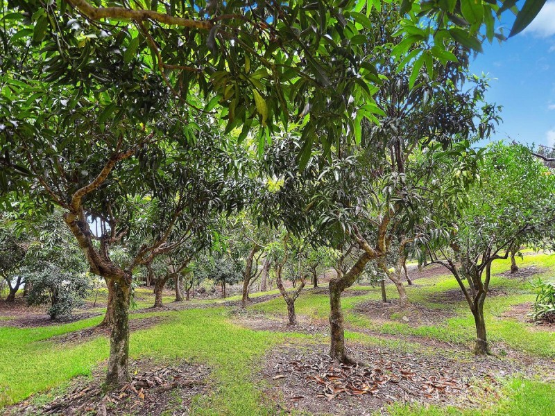 69 Estelle Road, Currumbin Valley QLD 4223