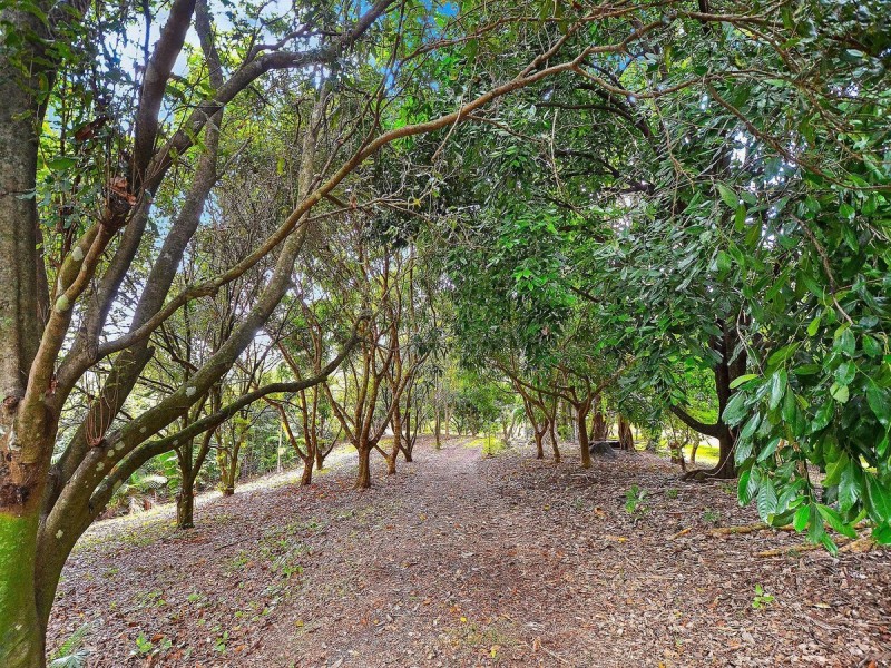 69 Estelle Road, Currumbin Valley QLD 4223