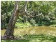 810 Currumbin Creek Road, Currumbin Valley QLD 4223