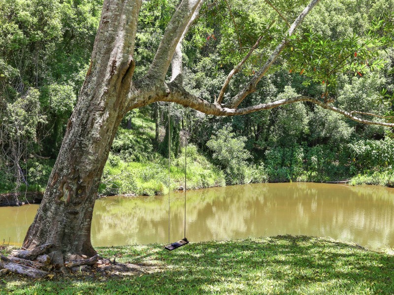 810 Currumbin Creek Road, Currumbin Valley QLD 4223