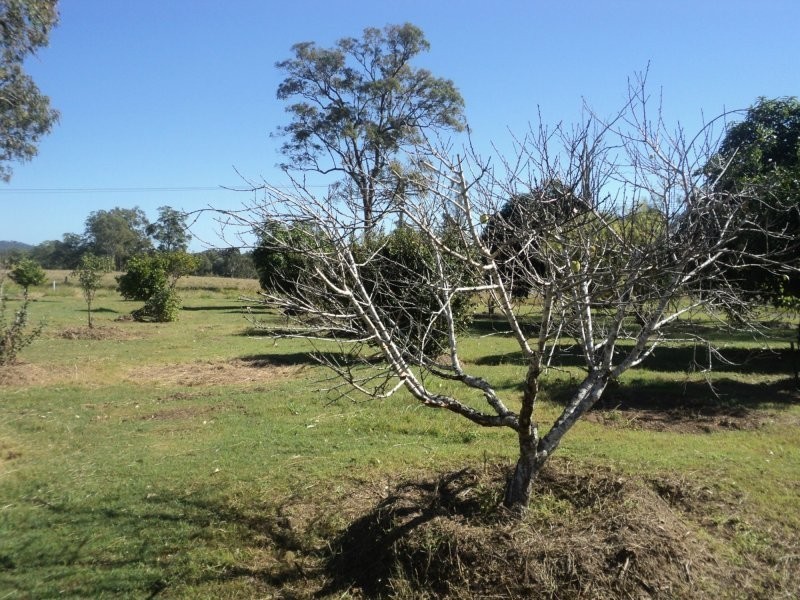 933 River Road, Maryborough QLD 4650