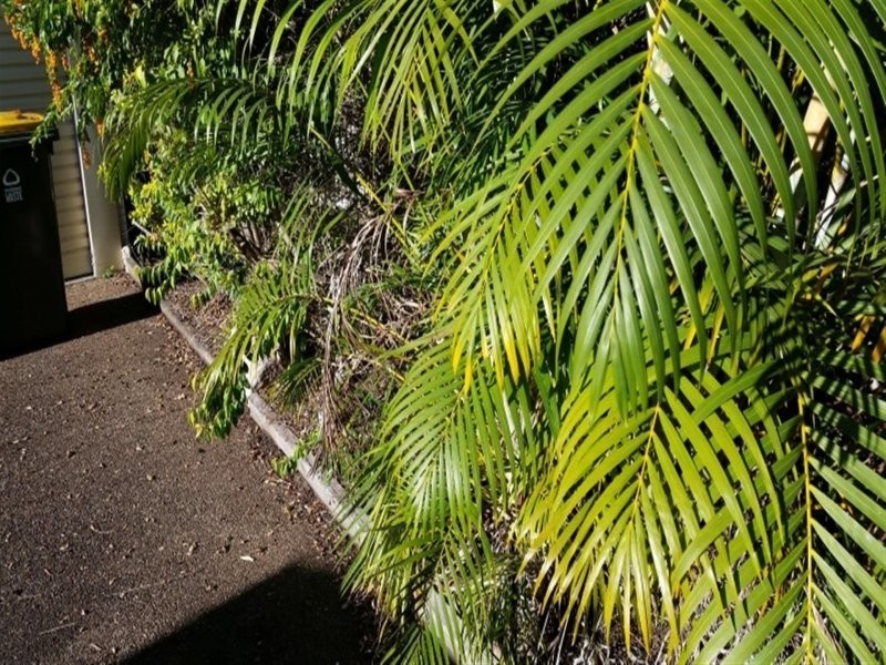 121 Sussex Street, Maryborough QLD 4650