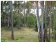 Tuan QLD 4650