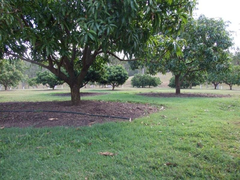 4274 Maryborough Biggenden Rd Road, Aramara QLD 4620