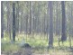 L76 Glenbar Road, Woocoo QLD 4620