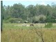 318 Eatonvale Road, Tinana QLD 4650