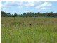 318 Eatonvale Road, Tinana QLD 4650