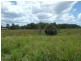 318 Eatonvale Road, Tinana QLD 4650