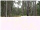 L10 Stottenville Road, Bauple QLD 4650