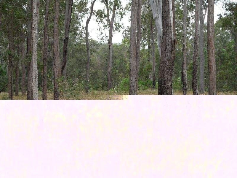 L10 Stottenville Road, Bauple QLD 4650