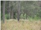 L10 Stottenville Road, Bauple QLD 4650