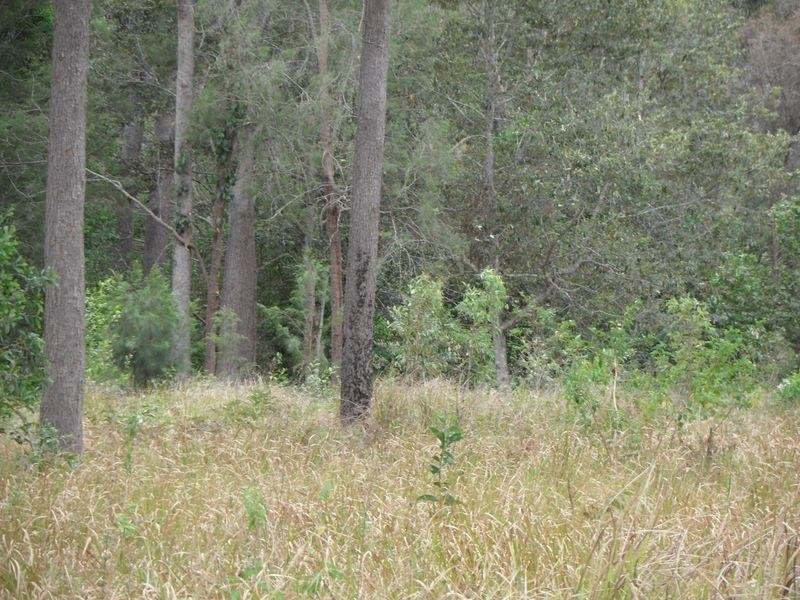 L10 Stottenville Road, Bauple QLD 4650