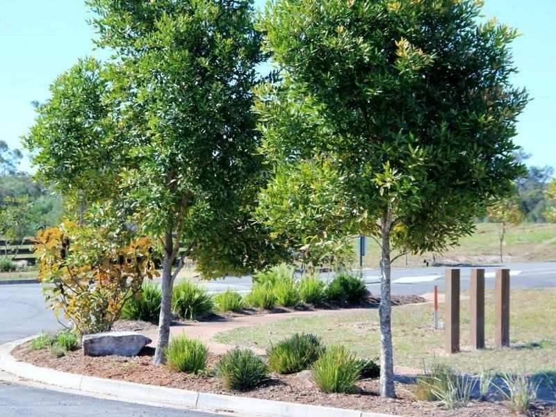 L2 Timbers Reserve Street, Maryborough West QLD 4650