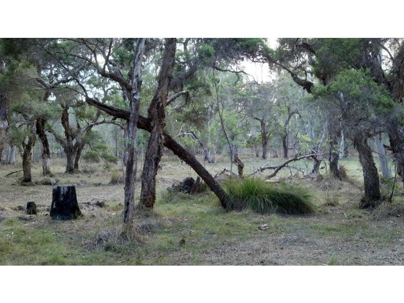 64/L64 Gigoomgan Road, Brooweena QLD 4620