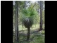 64/L64 Gigoomgan Road, Brooweena QLD 4620