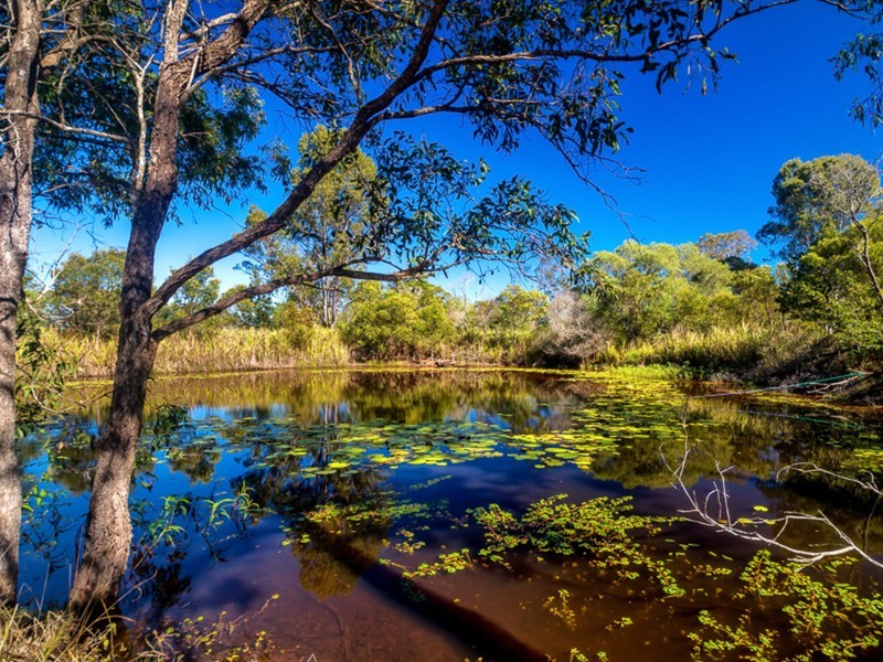 Grahams Creek QLD 4650