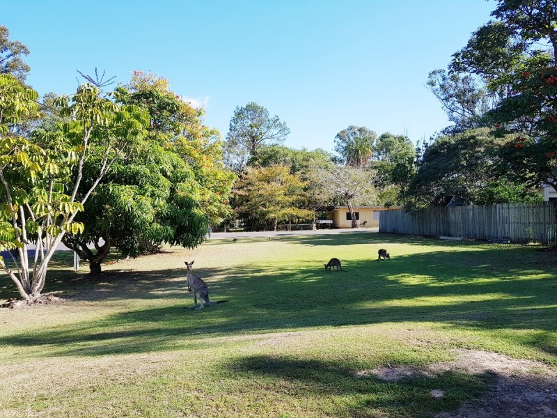 51 High Street, Maryborough QLD 4650
