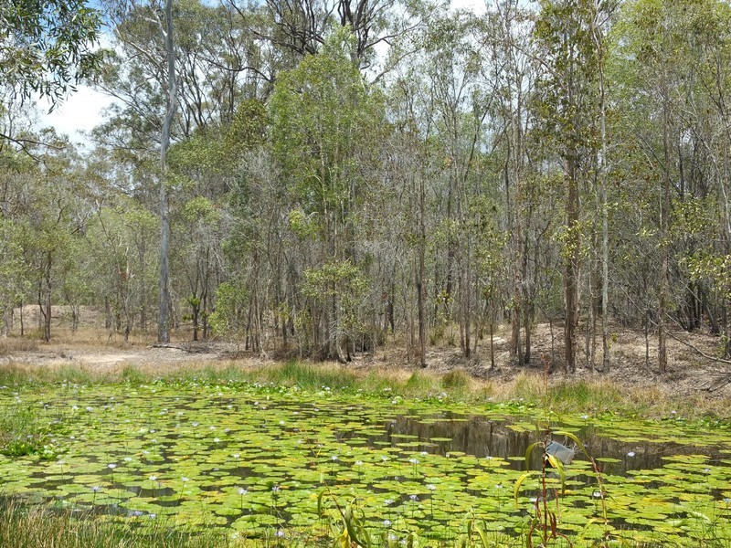 77 Neil Road, Maryborough West QLD 4650