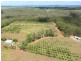 751 Teddington Road, Teddington QLD 4650