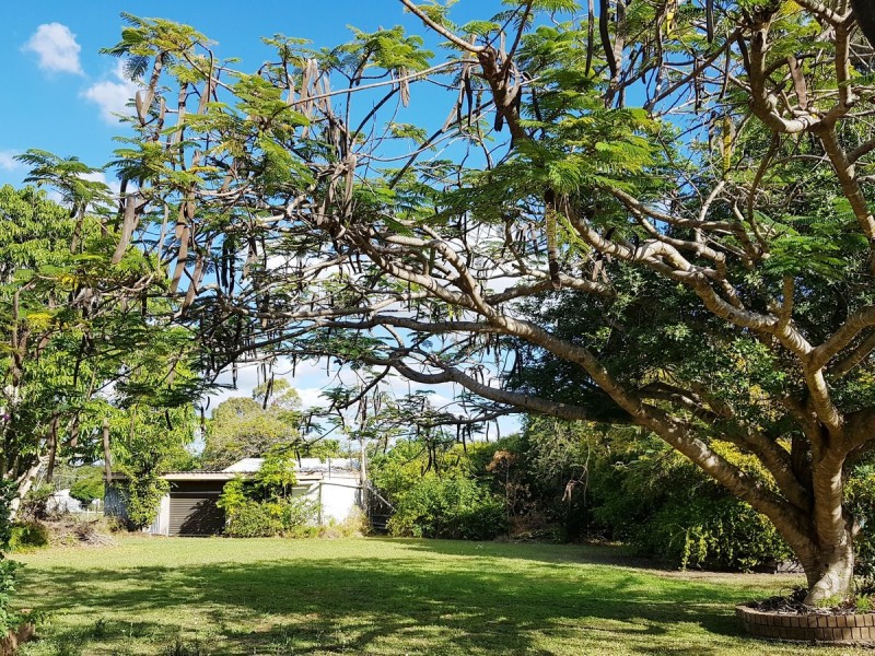 33 Serenity Drive, Tinana QLD 4650