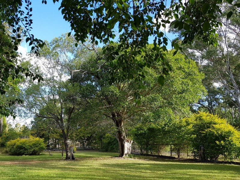 33 Serenity Drive, Tinana QLD 4650