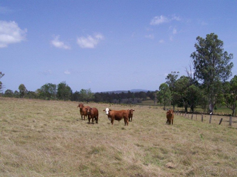 236 Bauple Woolooga Road, Gootchie QLD 4650