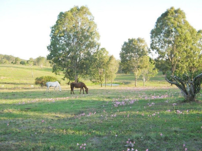 287 Bauple Woolooga Road, Gootchie QLD 4650