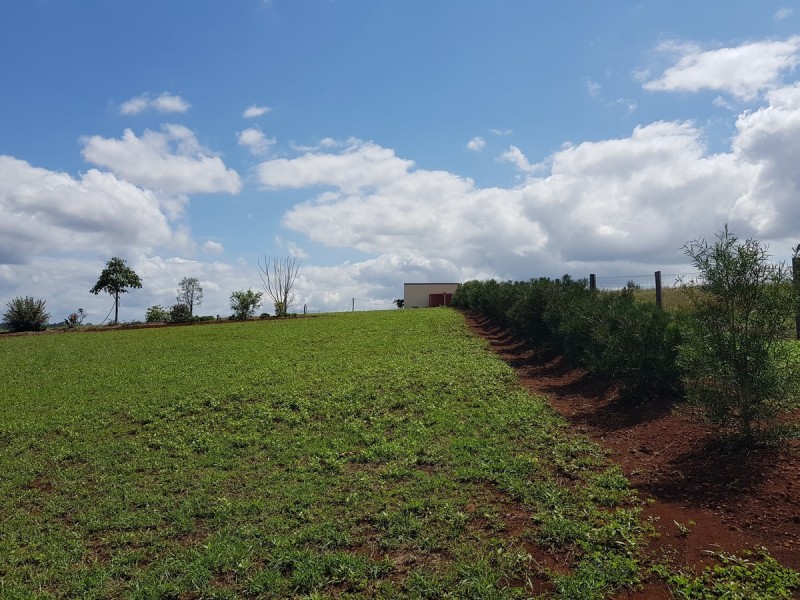 65 Jones Road East, Mungar QLD 4650