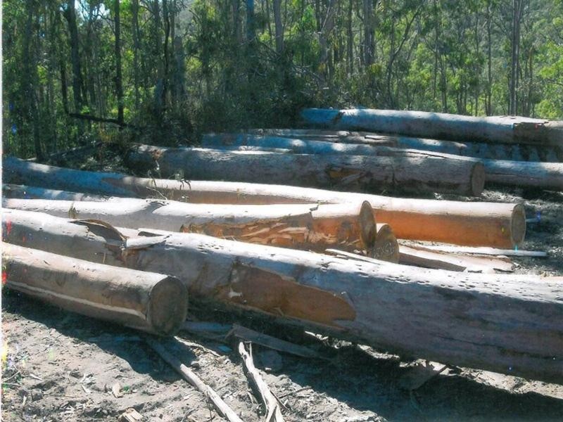 Mount Perry QLD 4671