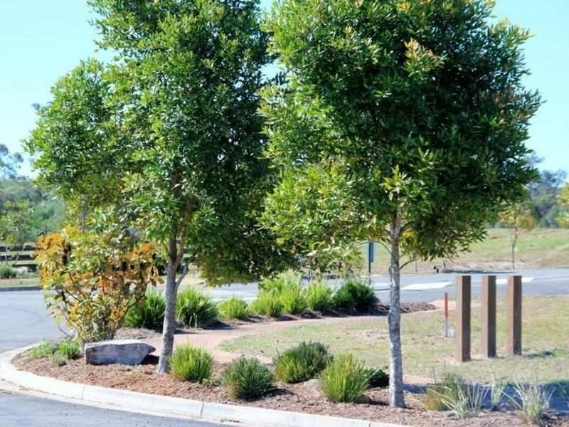 Maryborough West QLD 4650