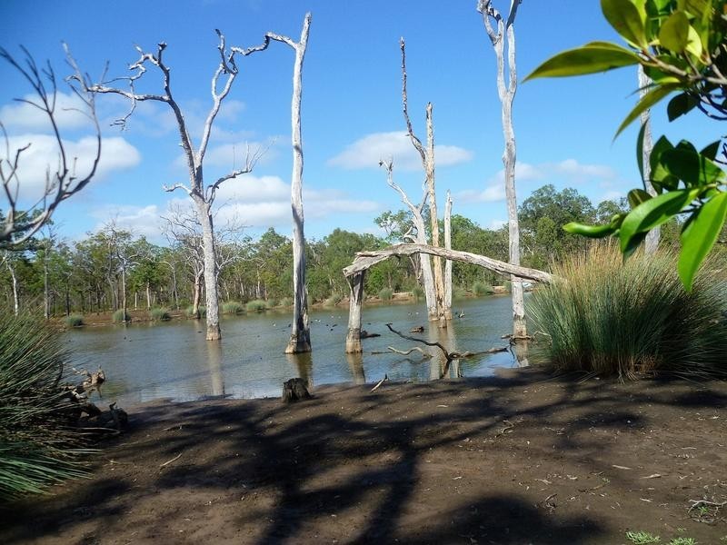 3 Duckinvilla Raod, Duckinwilla QLD 4650