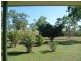 3 Duckinvilla Raod, Duckinwilla QLD 4650