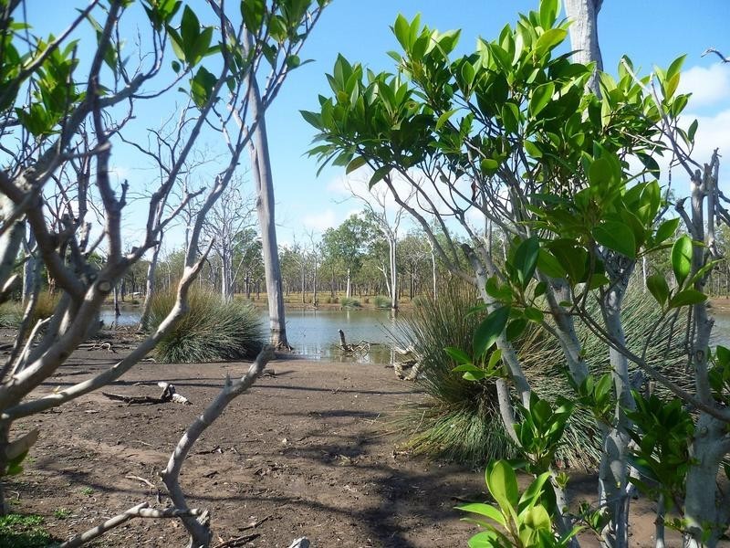 3 Duckinvilla Raod, Duckinwilla QLD 4650