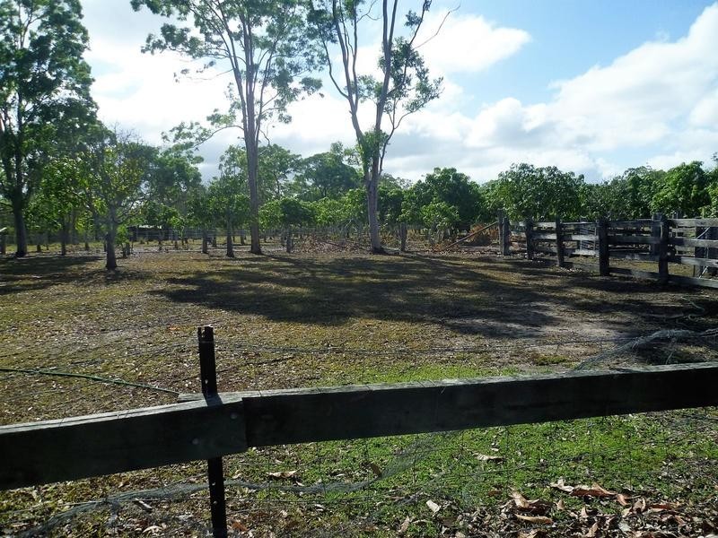 3 Duckinvilla Raod, Duckinwilla QLD 4650